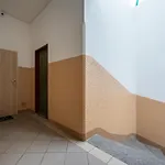 Kleopatra *